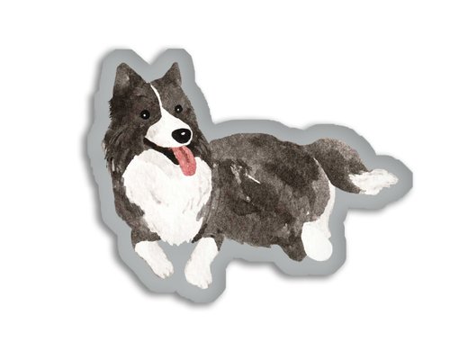 hopnbounce 邊境牧羊犬 邊牧 小狗 抱枕 咕𠱸