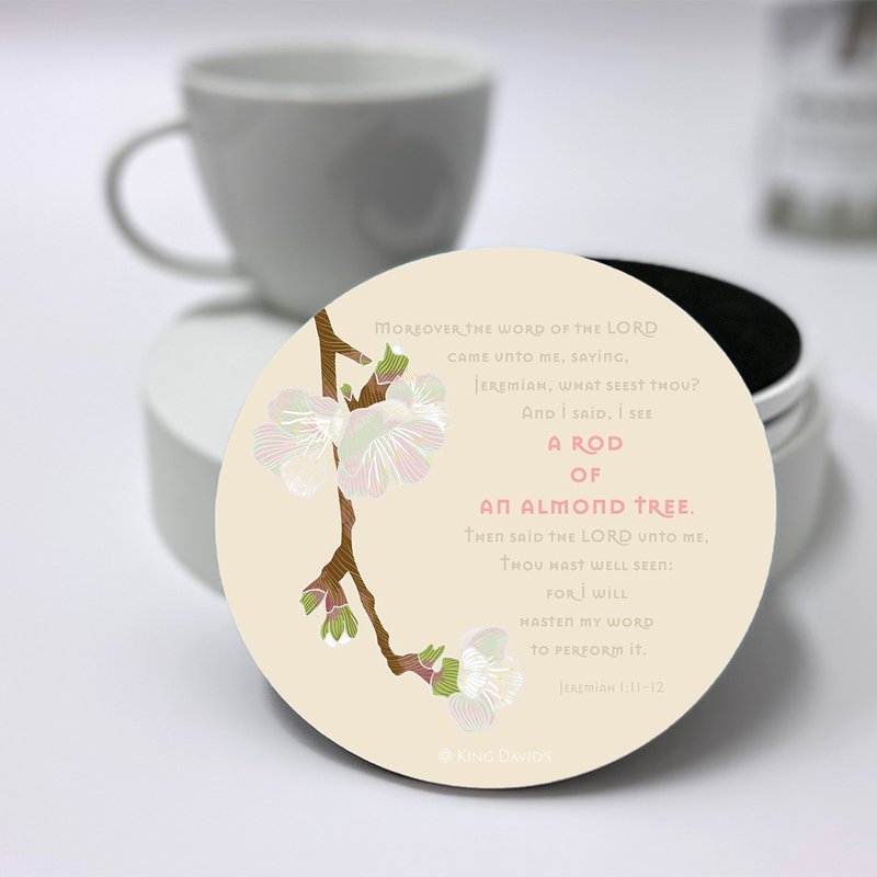 Let a Hundred Flowers Bloom Ceramic Coaster—Apricot Tree - Coasters - Porcelain 