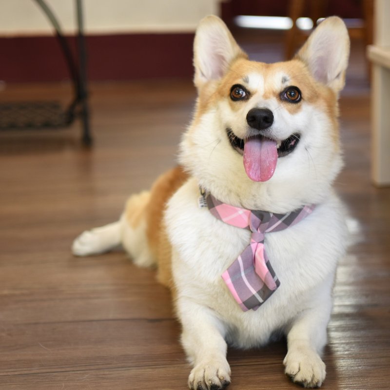 [ZAZAZOO] L-code dog collar accessories - pink - without collar - ปลอกคอ - เส้นใยสังเคราะห์ 