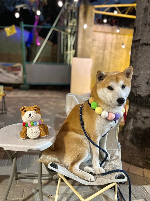 作家さま❤ぬいぐるみ❤テディベア❤アートドール　アーティストベア　柴犬　犬 作家さま❤ぬいぐるみ❤テディベア❤アートドール アーティストベア