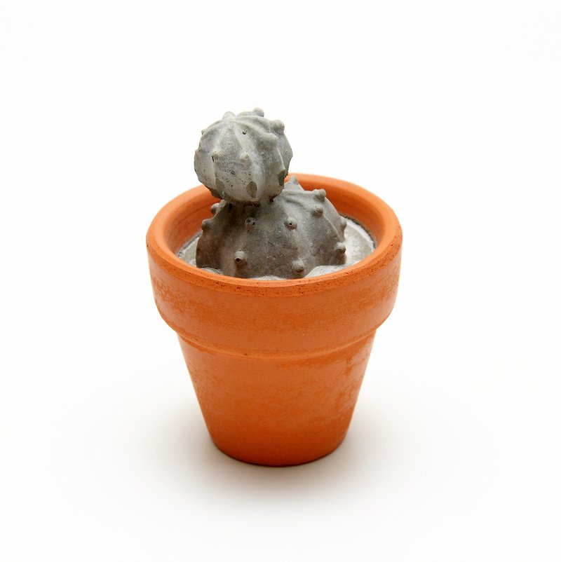 セメント多肉植物サボテンミニポット エターナルシリーズ - 置物 - コンクリート グレー