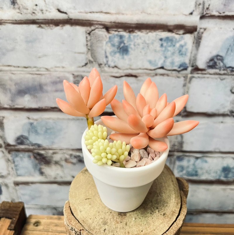 Succulent afternoon tea clay handmade Qiuli - Items for Display - Plants & Flowers 