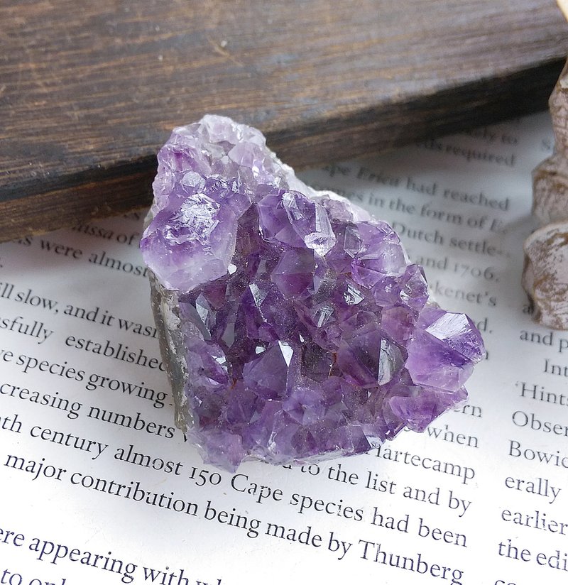 Amethyst 巴西產地 原皮紫水晶 晶簇 天然礦石 原礦 - 擺飾/家飾品 - 其他材質 