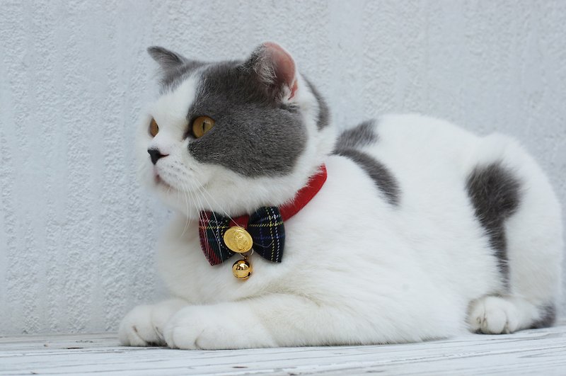 Pet collar fast shipping cat bow tie Scottish plaid British bow tie collar S/M - Collars & Leashes - Cotton & Hemp 