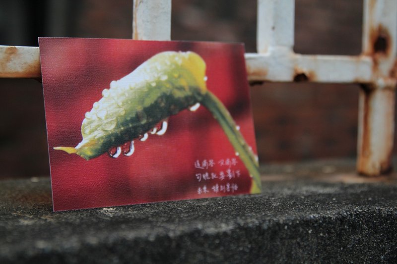 Red brick wall hiding in the water droplets Kaohsiung left camp village shooting postcards / cards - Cards & Postcards - Paper Red