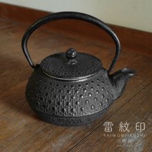 Nanbu Tetsubin Iron Oigen CAT Teapot 0.8L Cast Iron Enameled Made in JAPAN