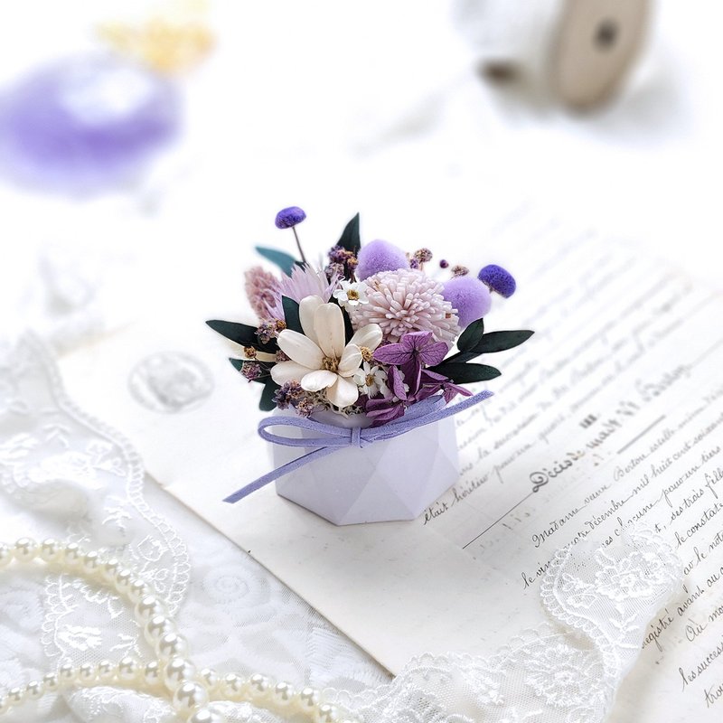 Permanent and fragrant small potted flower - taro purple bear mini Christmas gift - Dried Flowers & Bouquets - Plants & Flowers Purple