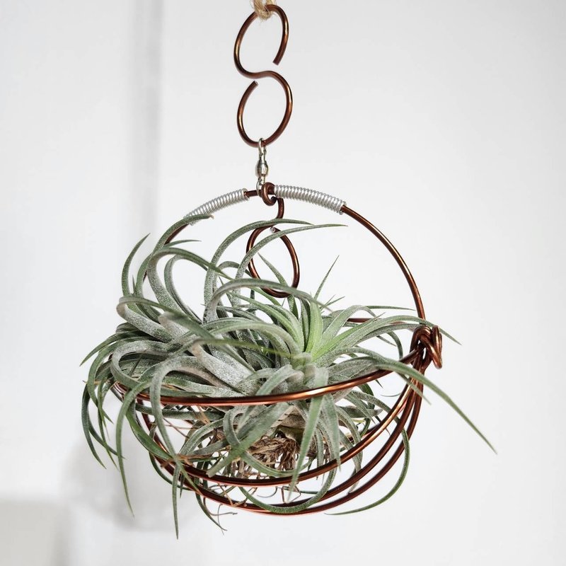 Round small hanging basket empty phoenix stand aluminum wire decoration empty phoenix flower stand gardening (excluding air pineapple) - Plants - Aluminum Alloy 