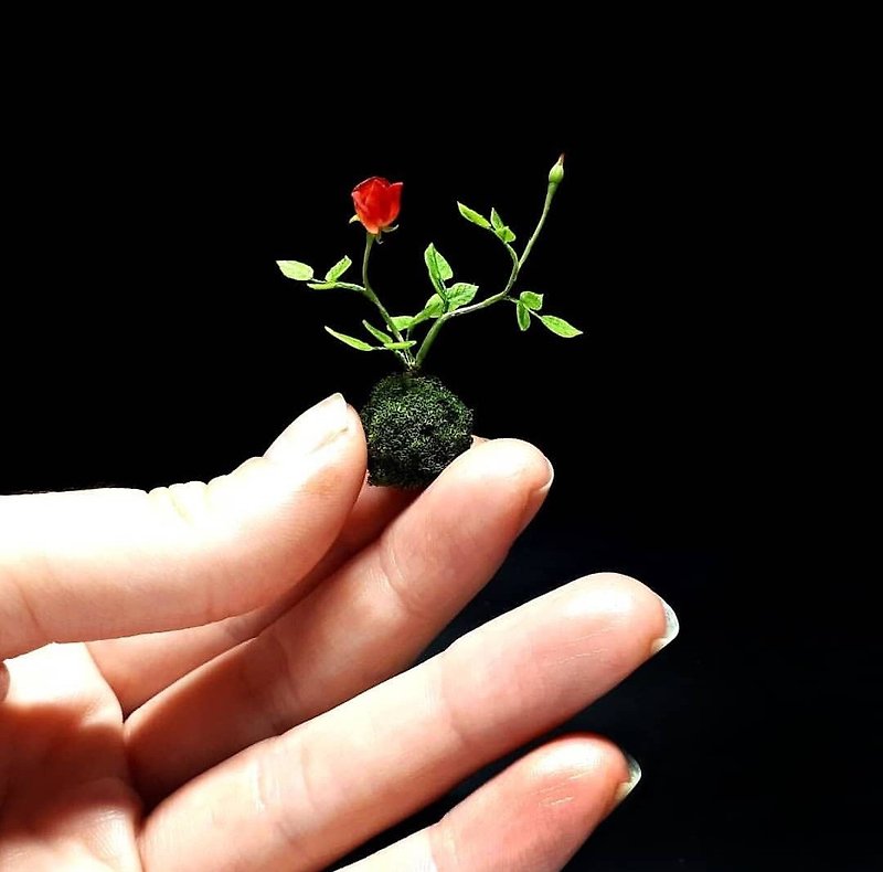 Miniature kokedama with a rose 1:12, Miniature plant, ikebana rose in a ball