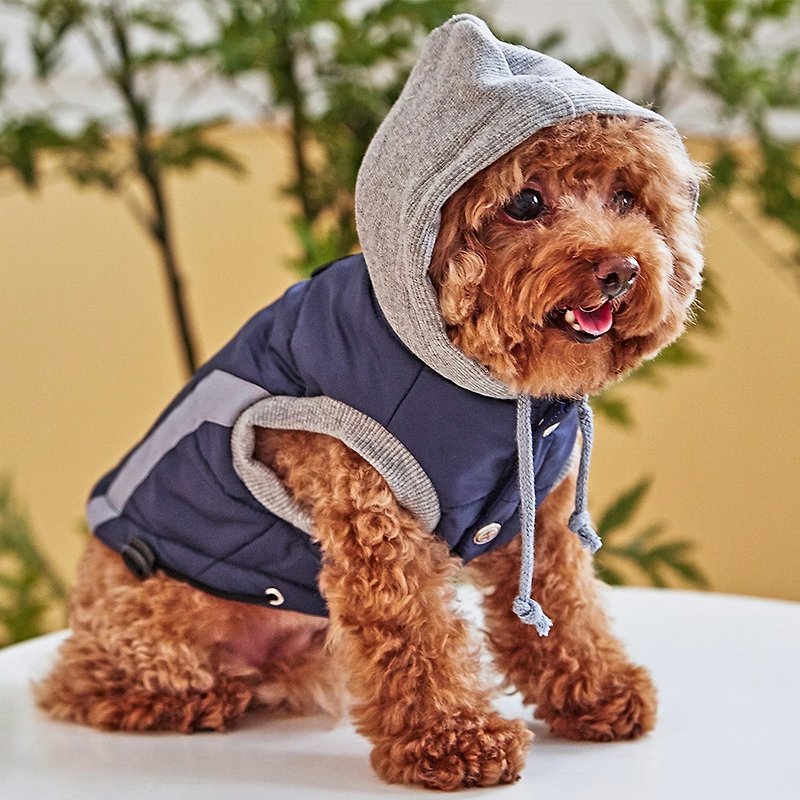 Pet Clothes Hooded Windproof Cotton Vest (Blue) - Clothing & Accessories - Cotton & Hemp Blue