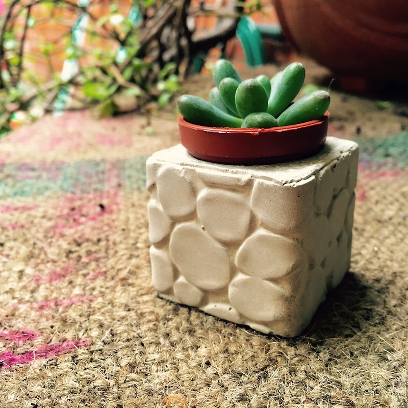 The wall is here! Magnet pot (Stone wall models) ~! - Plants - Cement Gray