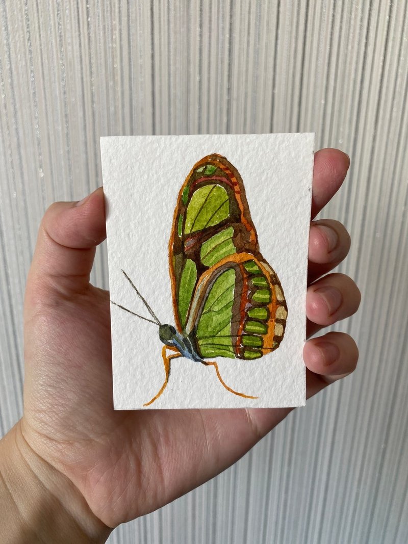 ACEO watercolor original art butterfly Card Miniature  Home decor idea gift - Wall Décor - Paper Green