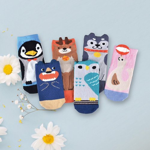 貝柔 Peilou 北極家族立體兒童短襪6款各1雙 童襪 止滑襪 吸汗棉襪 造型襪