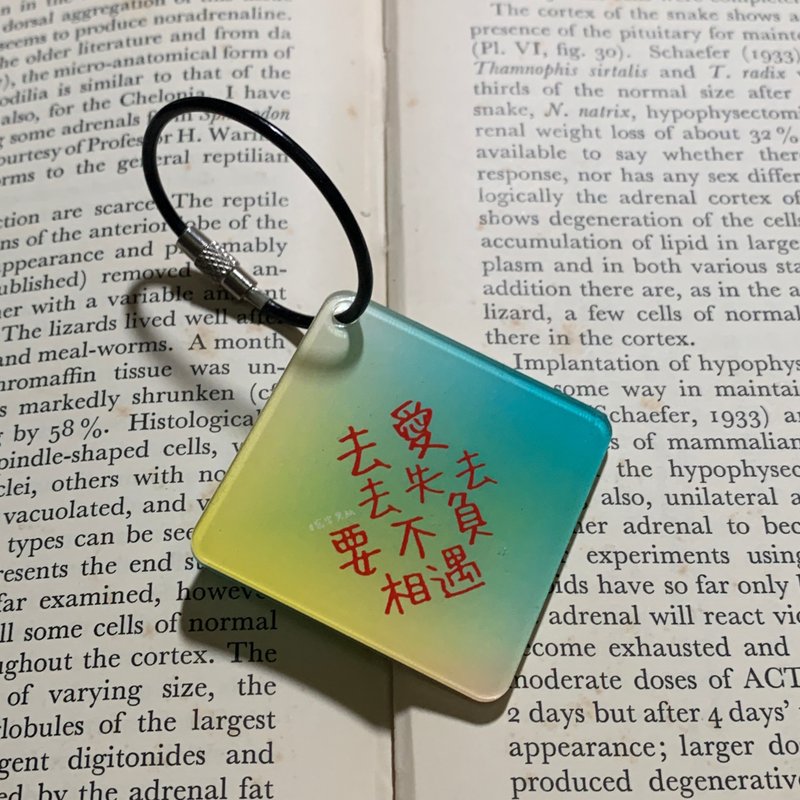 Calligraphy Acrylic Hanging Deco Key Chain - พวงกุญแจ - อะคริลิค สีเหลือง