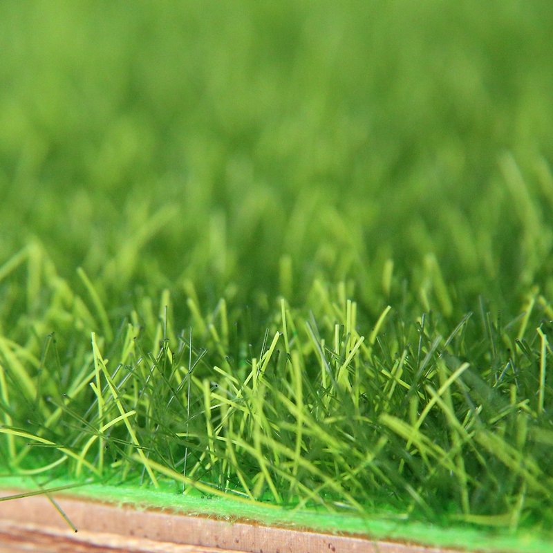 Do not purchase customized artificial turf directly. Please leave a message for size inquiry. Round and square decorative turf. - ของวางตกแต่ง - พลาสติก สีเขียว