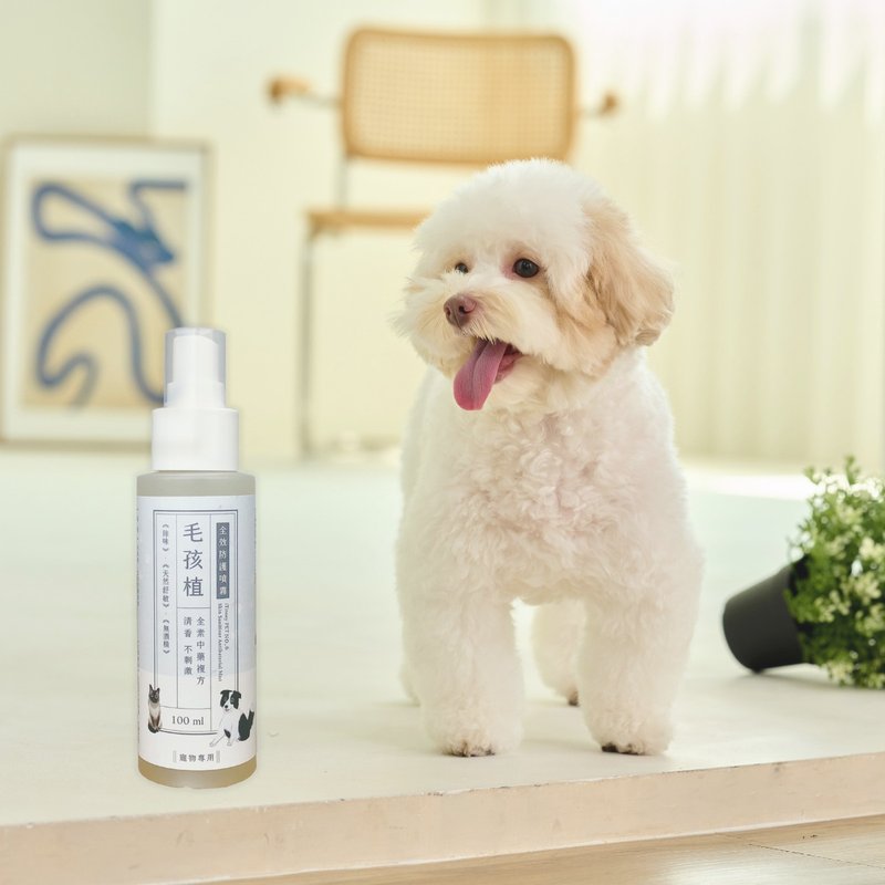 iTinney Maohaizhi NO.6 - iTinney PET full-effect protective spray | Antibacterial and anti-inflammatory - Cleaning & Grooming - Other Materials White