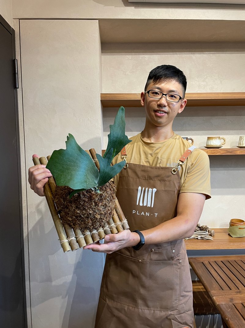 【手編竹板 x 鹿角蕨上板】手作課程 - 植栽/花藝 - 植物．花 
