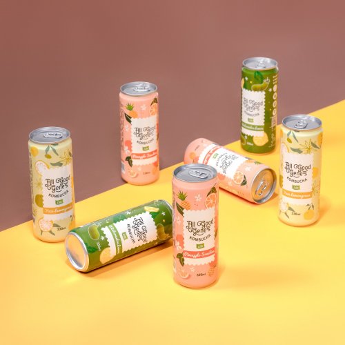 All Good Gene’s 好菌好俊康普茶 【母親節禮物】輕逸罐裝康普茶綜合口味14入/330ml