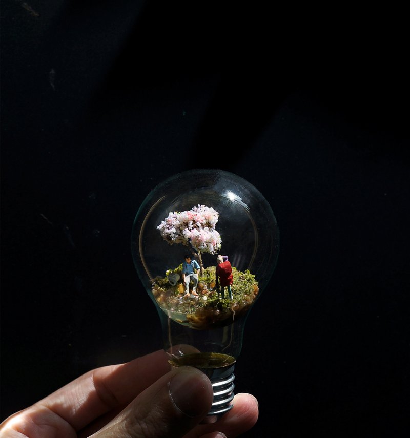 反重力苔燈泡 - 擺飾/家飾品 - 玻璃 多色