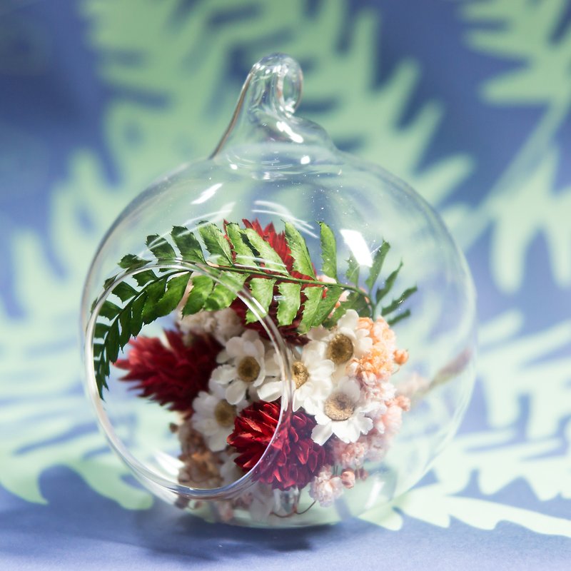 小さなビー玉 ドライフラワー クリスマス - 観葉植物 - ガラス レッド