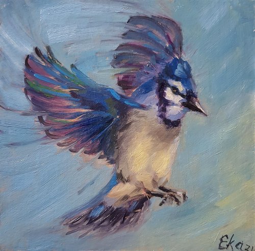 Blue Jay bird portrait watercolor nature wildlife original painting