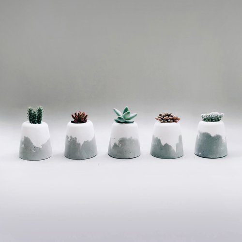 SNOW VOLCAN | Succulent/cactus/empty snowscape Cement potted plants (including plants)