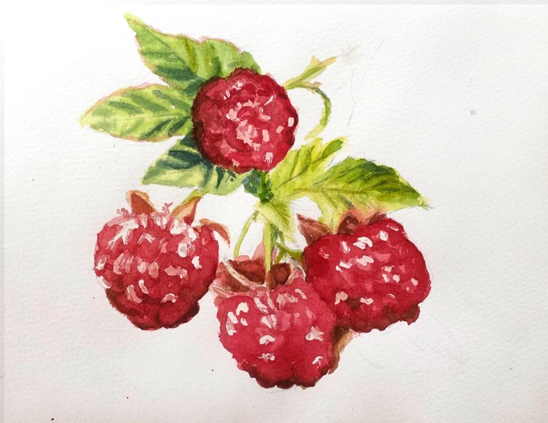 Raspberry Painting Fruit Watercolor Art Eat Artwork Kitchen Art - โปสเตอร์ - วัสดุอื่นๆ สีแดง