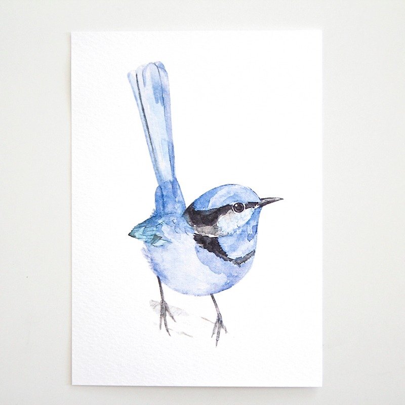‧ ‧ million birds postcard card ‧0015 - Cards & Postcards - Paper 