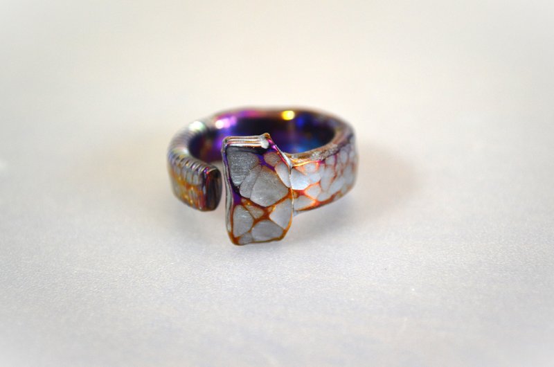 Titanium ring・ボルトだったチタンリングM6・２１号・B - 戒指 - 其他金屬 多色