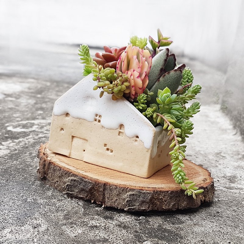 The small snow house 2 (With Succulents)【walking amidst the snow】 - Plants - Plants & Flowers White