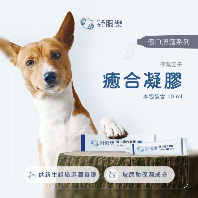 舒服樂 癒合凝膠 /紅腫搔癢/傷口護理/傷口調養/皮膚養護 - 其他 - 其他材質 透明