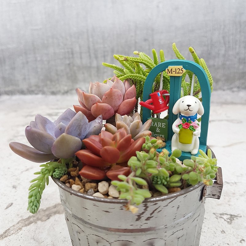 The hanging garden of the white puppy (with succulents) - ตกแต่งต้นไม้ - พืช/ดอกไม้ สีเงิน