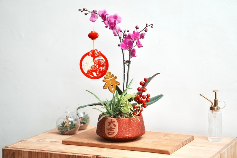 New Year Orchid Bonsai Handmade - Plants & Floral Arrangement - Plants & Flowers 