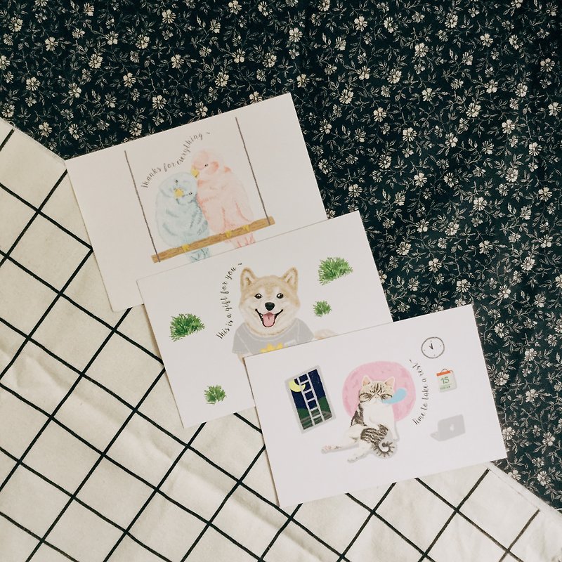 PET postcard - การ์ด/โปสการ์ด - กระดาษ หลากหลายสี