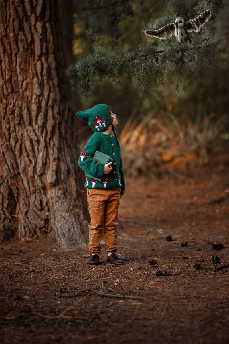 Mushroom Cardigan, Knitting cardigan, Kids cardigan, baby clothes, kids,mushroom - Other - Wool Blue