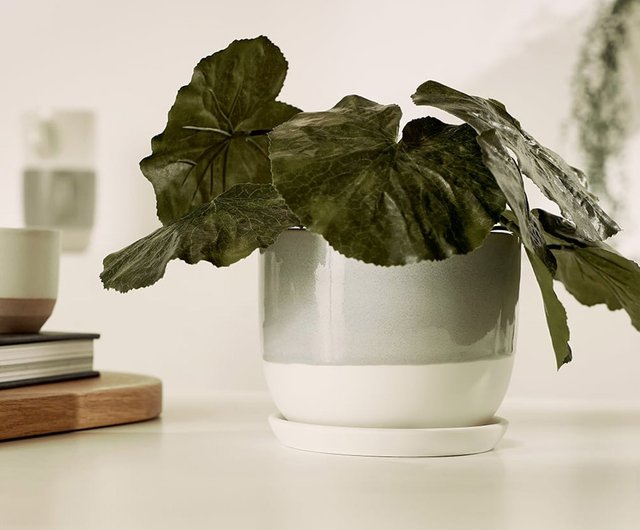 KINTO PLANT POT 193 セラミック植木鉢 / 3色 / 11cm - ショップ KINTO