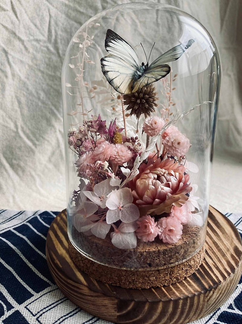Butterfly Specimen Glass Cup - Palm Flower Border/Valentine's Day/Dried Flowers/Ecological Bottle/White Butterfly/Mother's Day/520 - ช่อดอกไม้แห้ง - พืช/ดอกไม้ สึชมพู