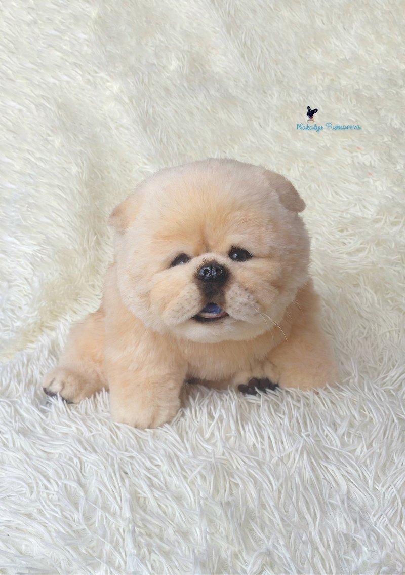 chow chow dog realistic toy - ตุ๊กตา - เส้นใยสังเคราะห์ สีนำ้ตาล