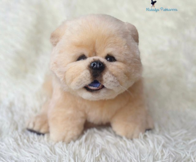 チャウチャウ犬のリアルなおもちゃ - ショップ