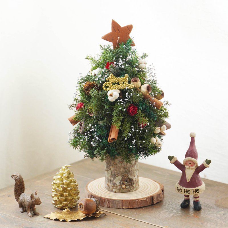 [Christmas souvenirs] Full of joy and eternal Christmas tree (two designs) - ช่อดอกไม้แห้ง - พืช/ดอกไม้ 