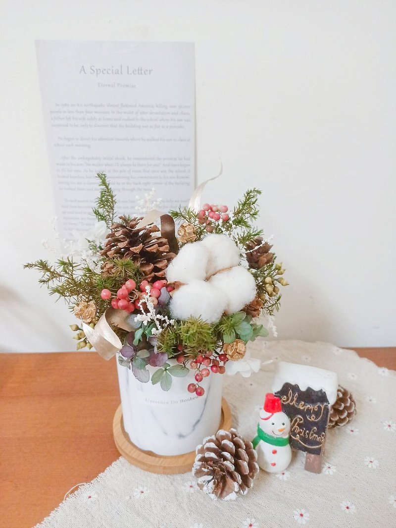 Christmas potted flowers / Christmas / potted flowers / dried flowers - Dried Flowers & Bouquets - Plants & Flowers Green