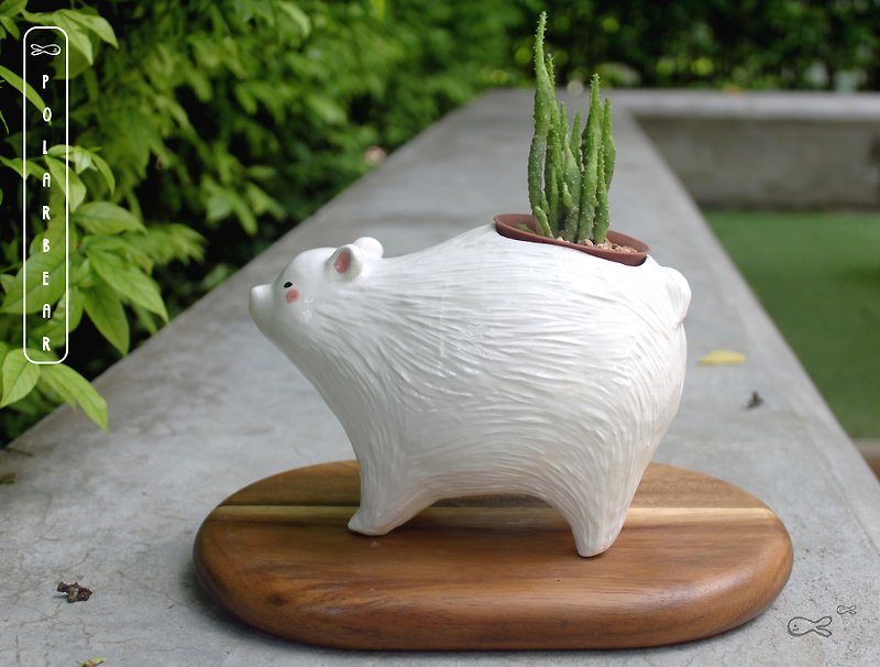Pot bears depolarized world - Plants - Pottery White