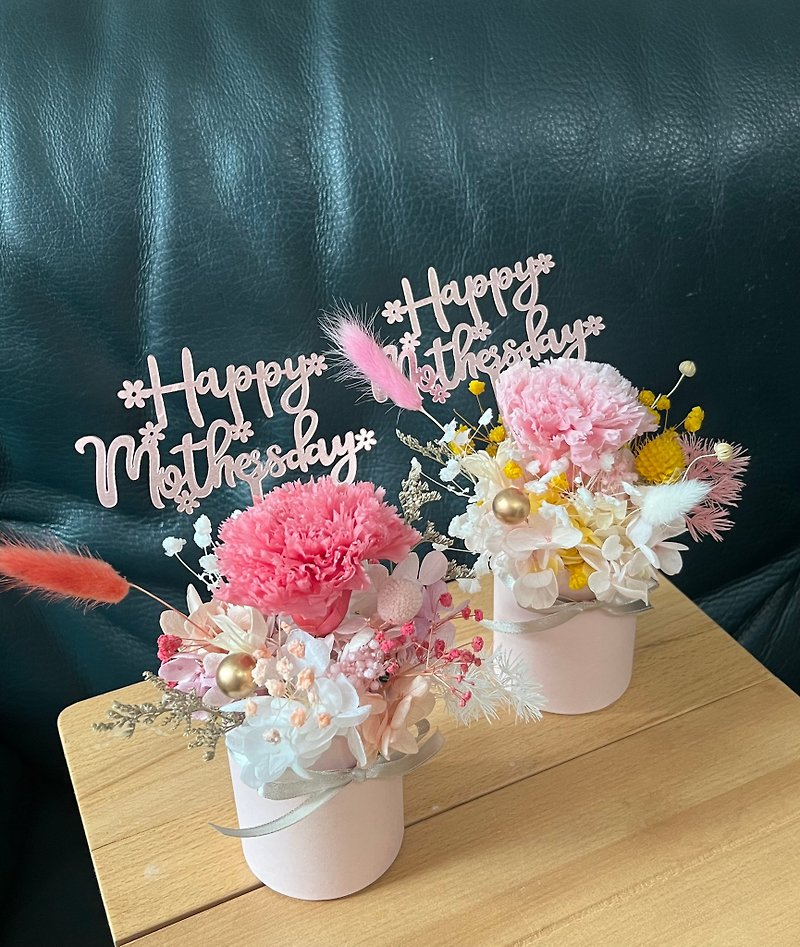 Doting Mom Mother's Day Limited Edition Everlasting Carnation Flower Pot in Peach/Pink - ช่อดอกไม้แห้ง - พืช/ดอกไม้ สึชมพู