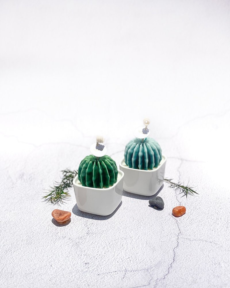 Juicy Succulent Candle | Handmade Scented Cactus Candle - Candles & Candle Holders - Wax Green