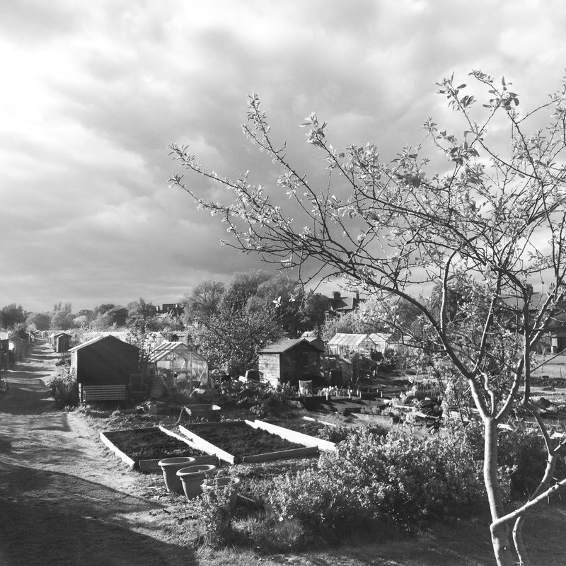 都市裡的溫室菜園│無酸相紙│英國印刷、製作│可自行裱褙│原作 - 海報/掛畫/掛布 - 紙 灰色