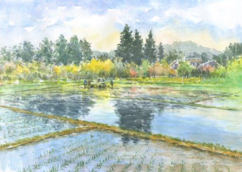 田植の季節(水彩画 2022年作品) 受注制作します 水彩画原画 田植の季節 - ショップ 松下勝明