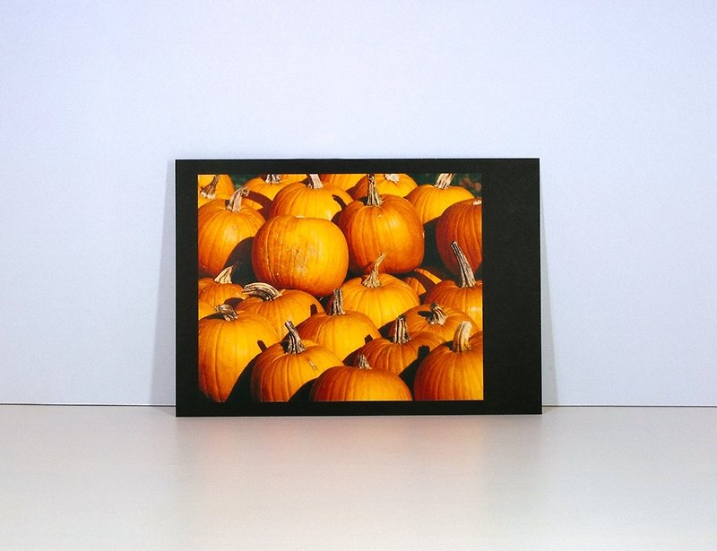 Photographic Postcard: Pumpkins, Ramsau bei Berchtesgaden in autumn, Bavaria - Cards & Postcards - Paper Orange