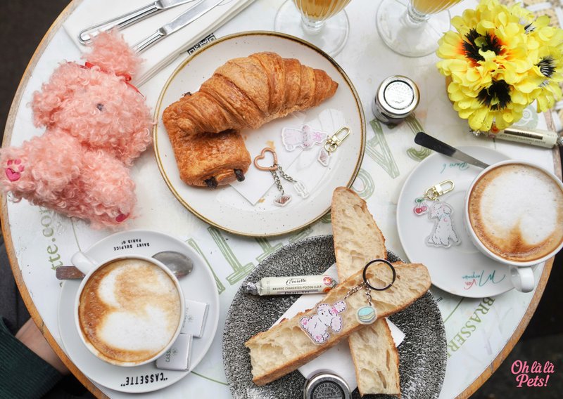 Oh là là Pets! 萌寵明星明信片 經典款 - 卡片/明信片 - 紙 白色