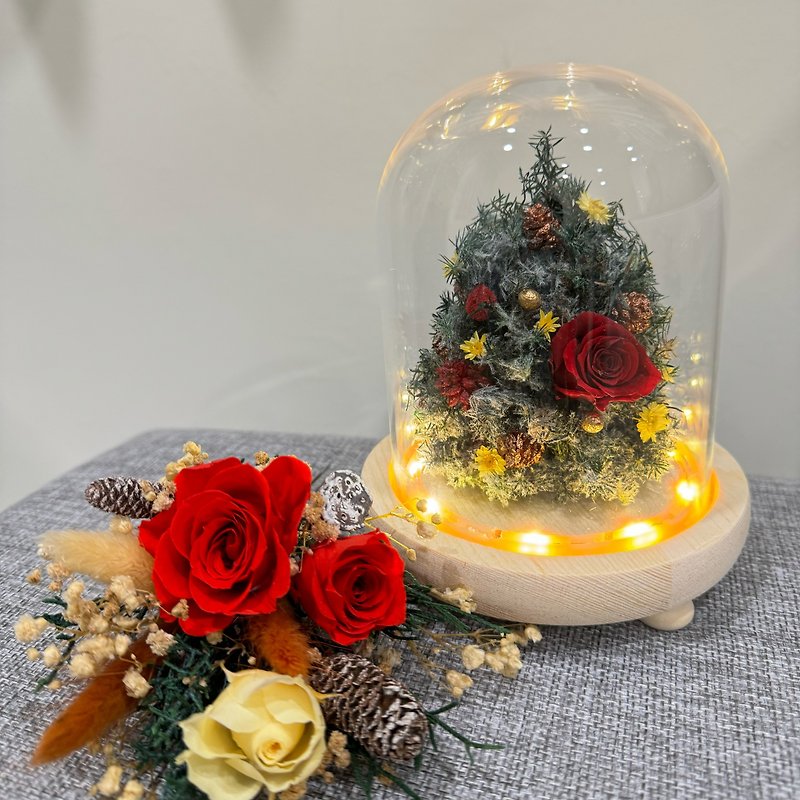 預購訂製 袖珍聖誕樹玻璃盅燈飾 - 乾燥花/永生花 - 玻璃 紅色