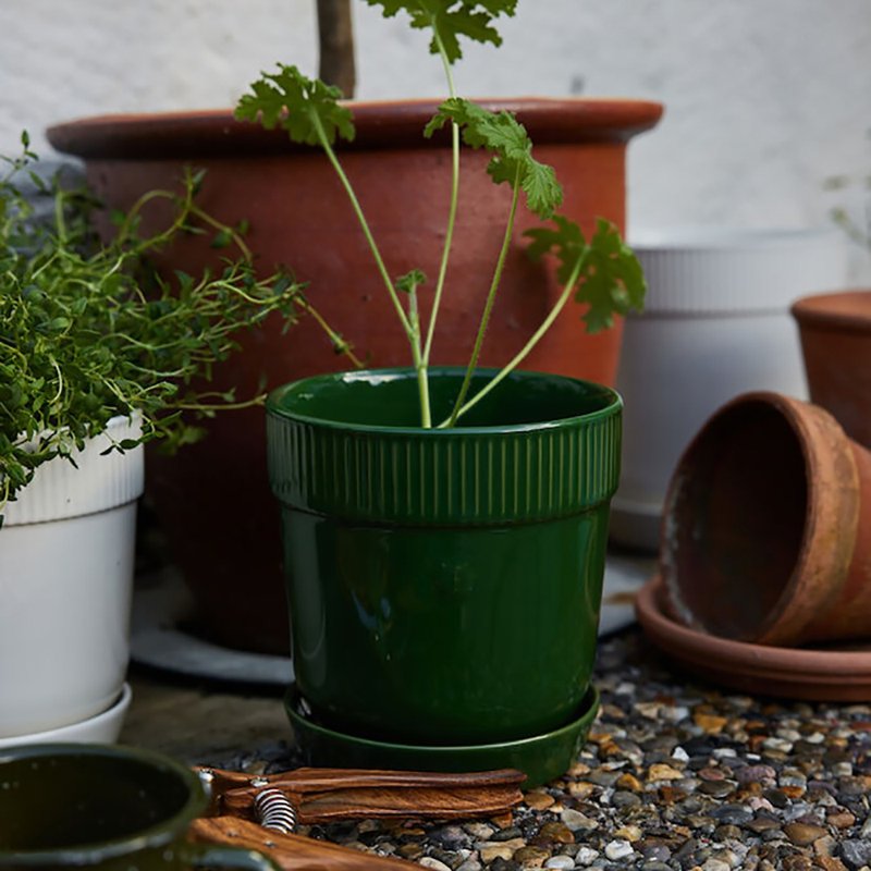 Elise Plant Pot - ตกแต่งต้นไม้ - เครื่องลายคราม 